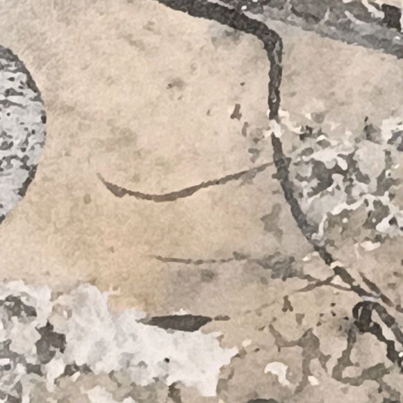 Painting Black & White Birds On Tree Branch Extending To Matt Signed Smethers - Picture 9 of 16